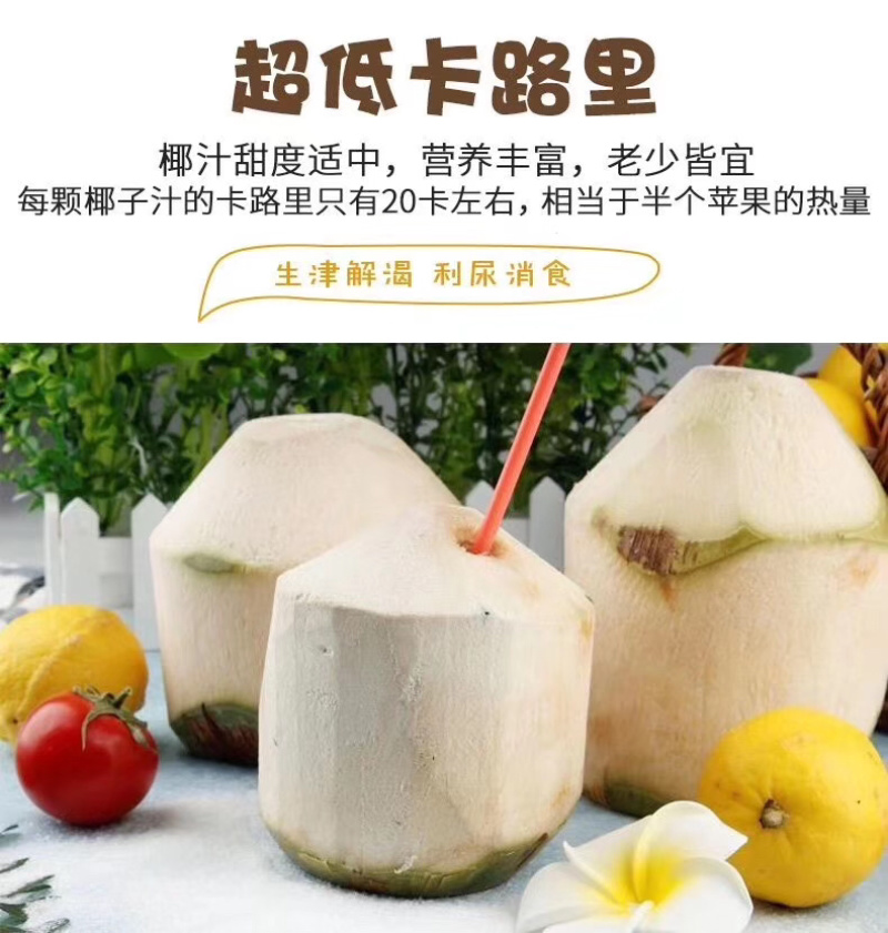 海南文昌椰青新鲜椰汁非泰国椰青支持批发代发