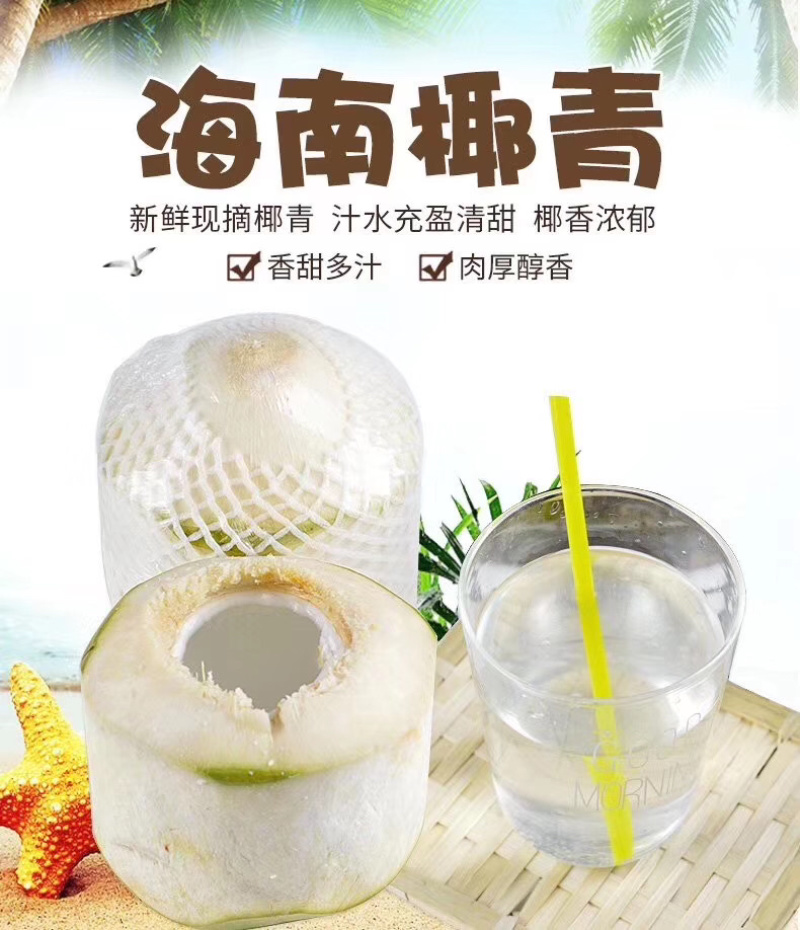 海南文昌椰青新鲜椰汁非泰国椰青支持批发代发