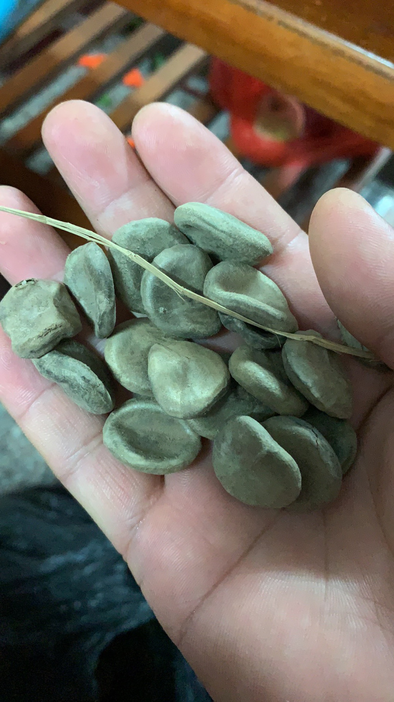 木憋子干货2020年的货白肉you