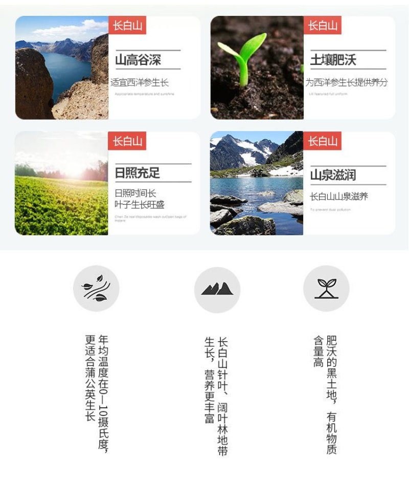 吉林长白山精选西洋参切片含片正品特级西洋参片花旗参片人参