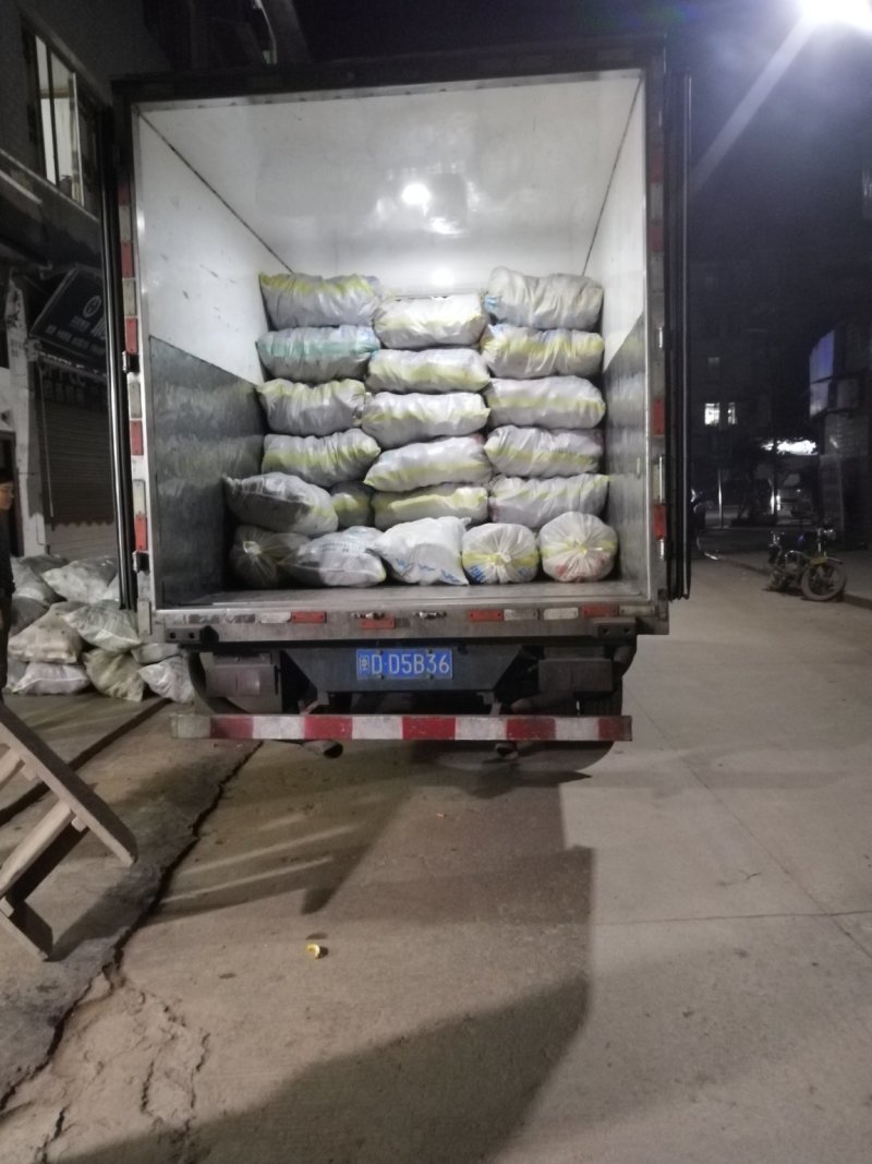 春笋大量出货，每天一车先到先得！