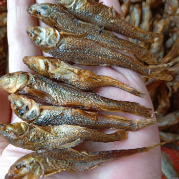 广西龟石水库油麻鱼干肥肉仔小鱼干烟熏炭烤