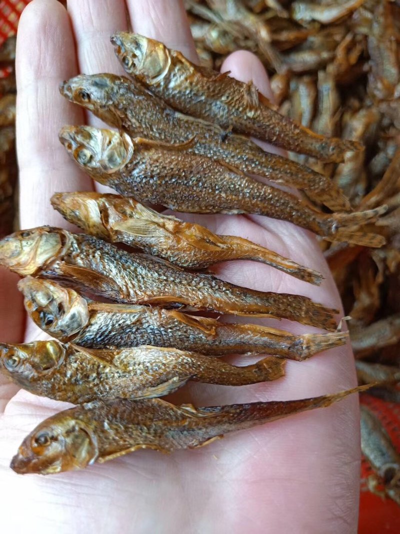 广西龟石水库油麻鱼干肥肉仔小鱼干烟熏炭烤