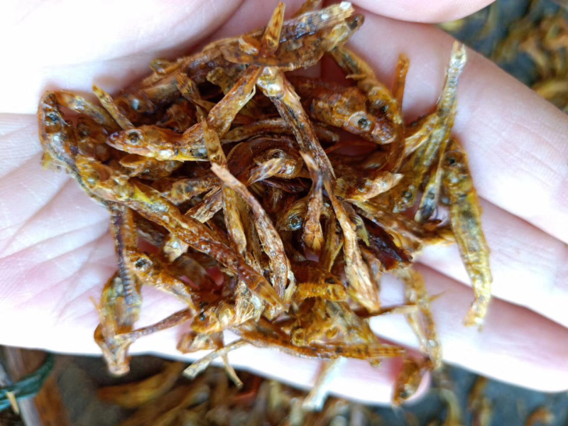 广西龟石水库油麻鱼干肥肉仔小鱼干烟熏炭烤