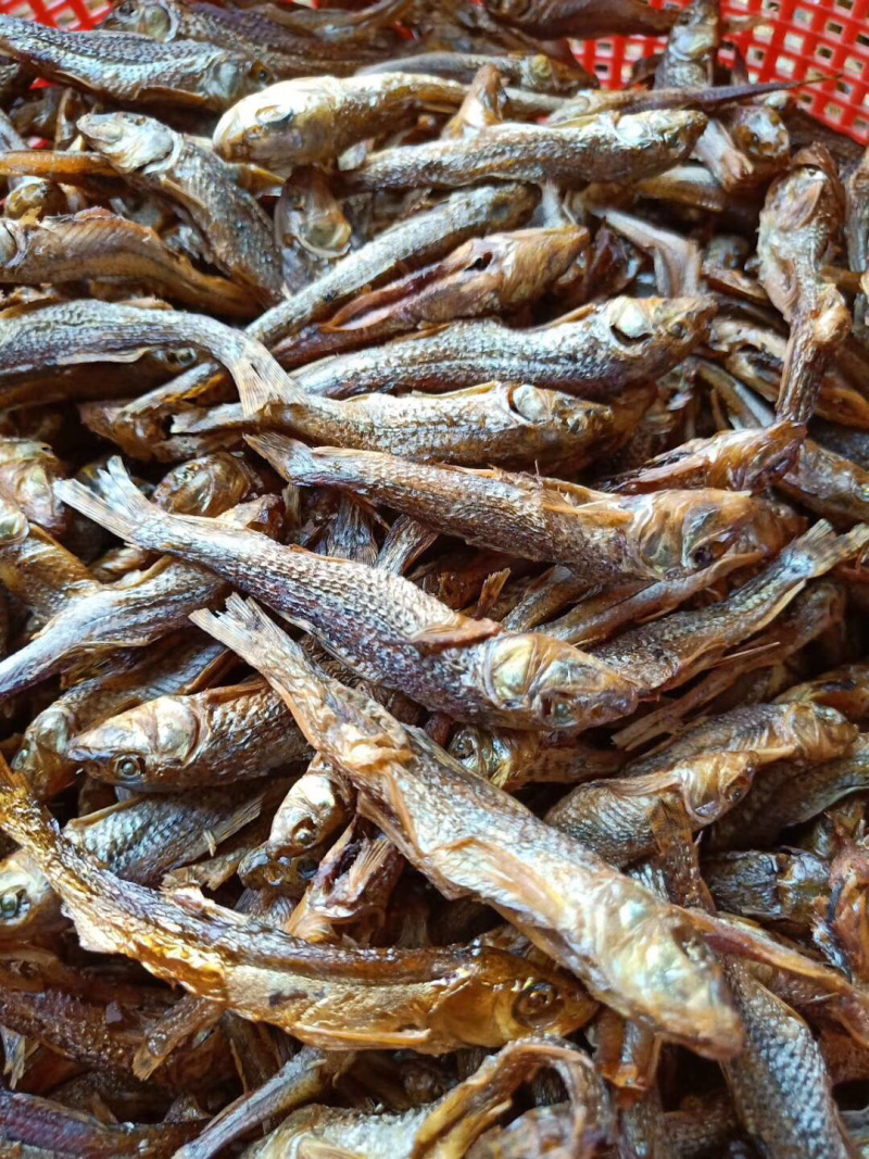 广西龟石水库油麻鱼干肥肉仔小鱼干烟熏炭烤