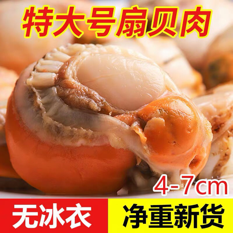 大个头无沙扇贝肉18元每斤