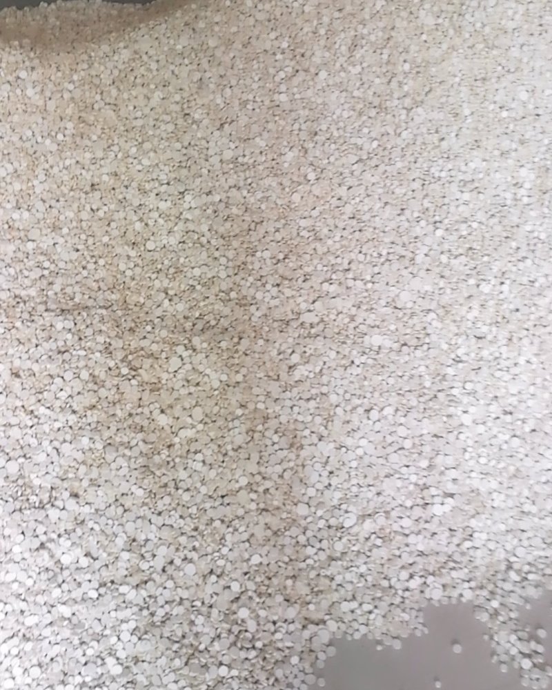 山药片