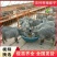 济宁青山羊肉质鲜嫩口感好青山羊种羊养殖基地欢迎光临