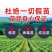 【占地葡萄苗】拒绝假苗三年苗四年苗丰产苗现挖现发
