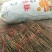 牡丹苗、各种规格精品苗，优质中药材种植基地，种苗繁育中心