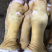火烧牛蹄