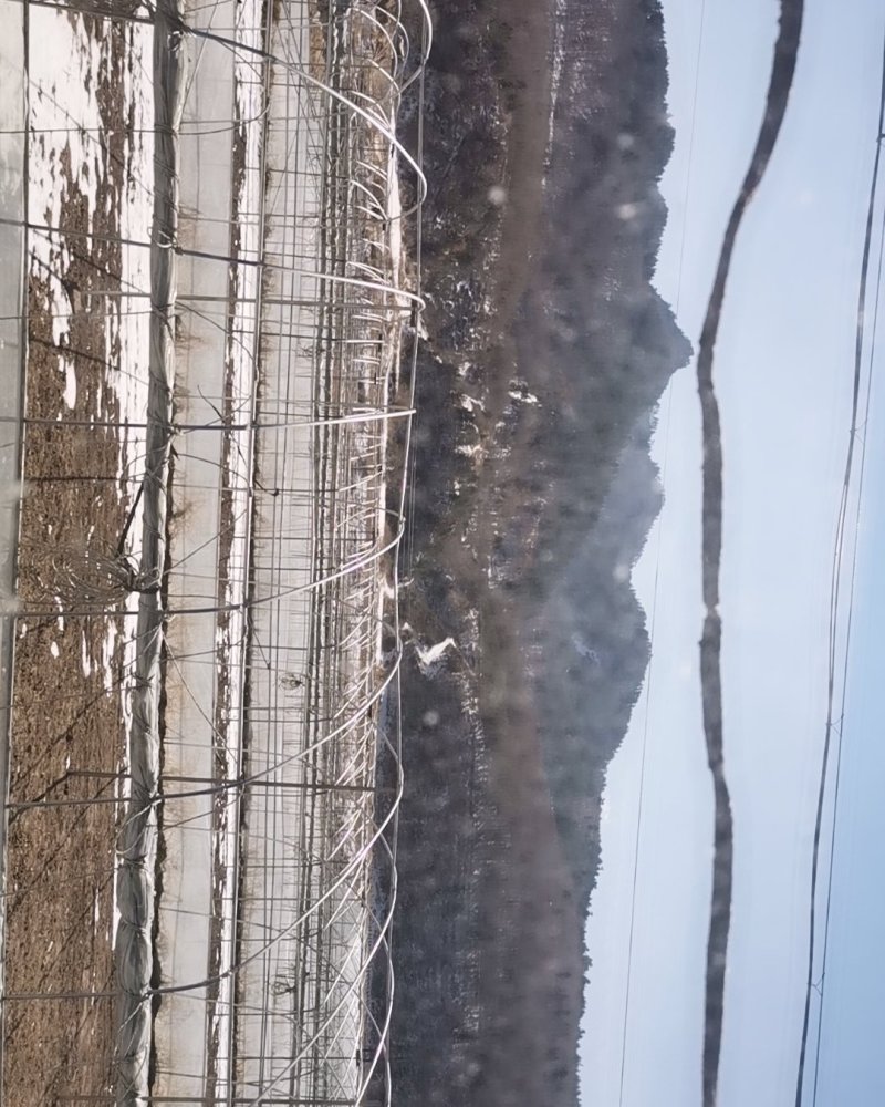 大棚出租，合作