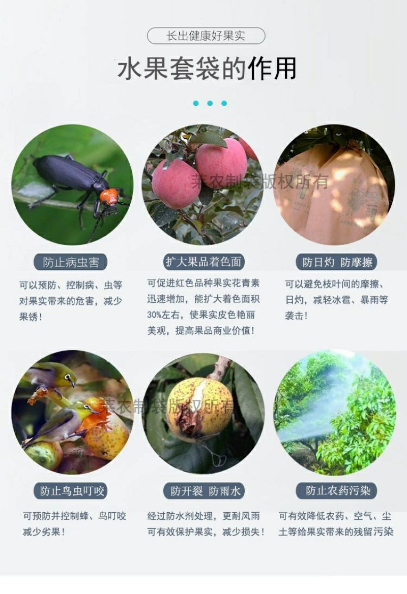 苹果套袋育果袋防鸟防虫平口双层外黄内红纸袋水果套袋两捆起