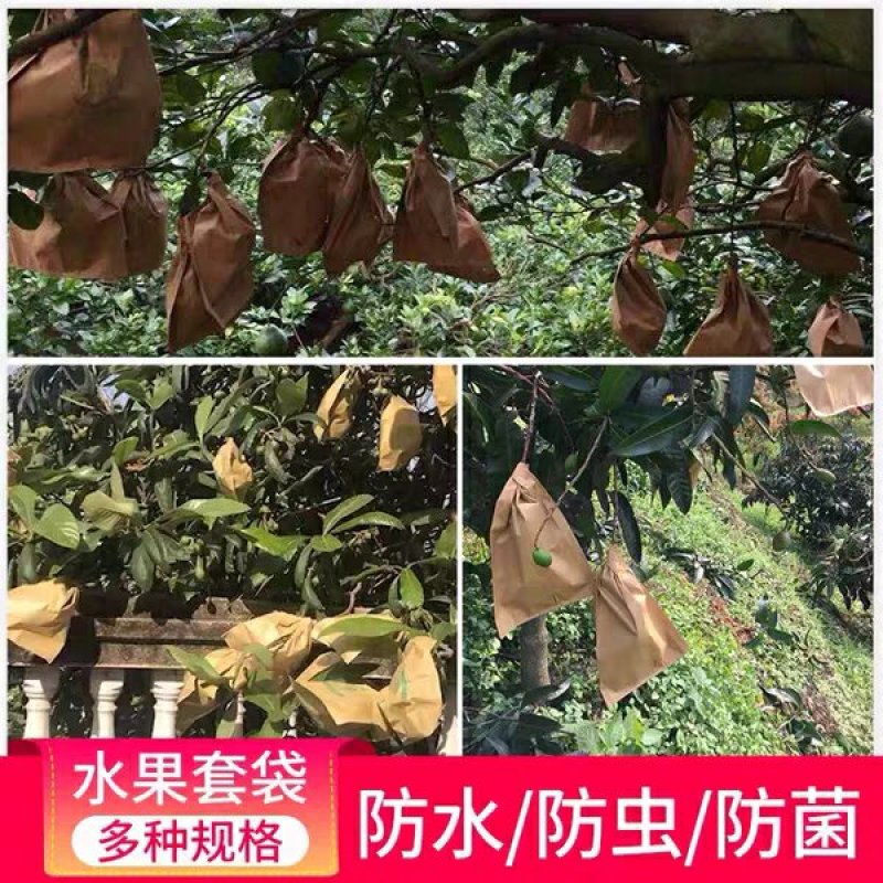 苹果袋苹果套袋育果袋防鸟防虫平口双层外黄内红纸袋水果套袋