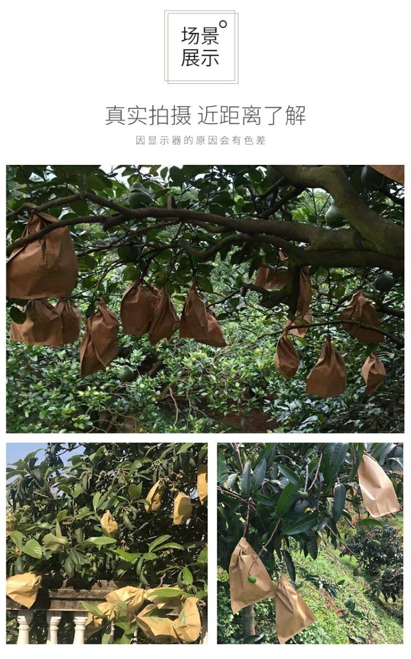 苹果袋苹果套袋育果袋防鸟防虫平口双层外黄内红纸袋水果套袋