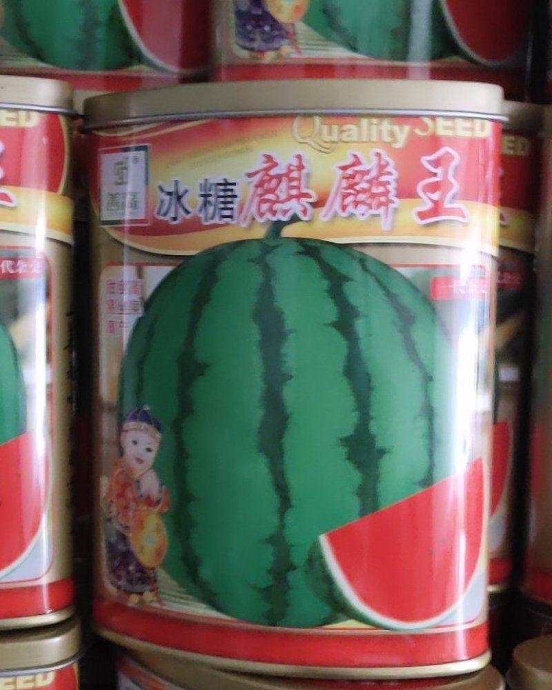 冰糖麒麟西瓜甜度高易坐果