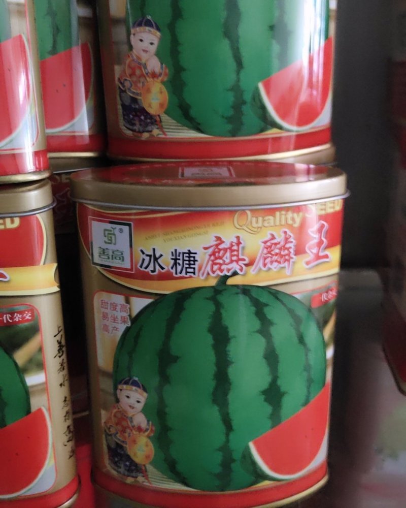 冰糖麒麟西瓜甜度高易坐果