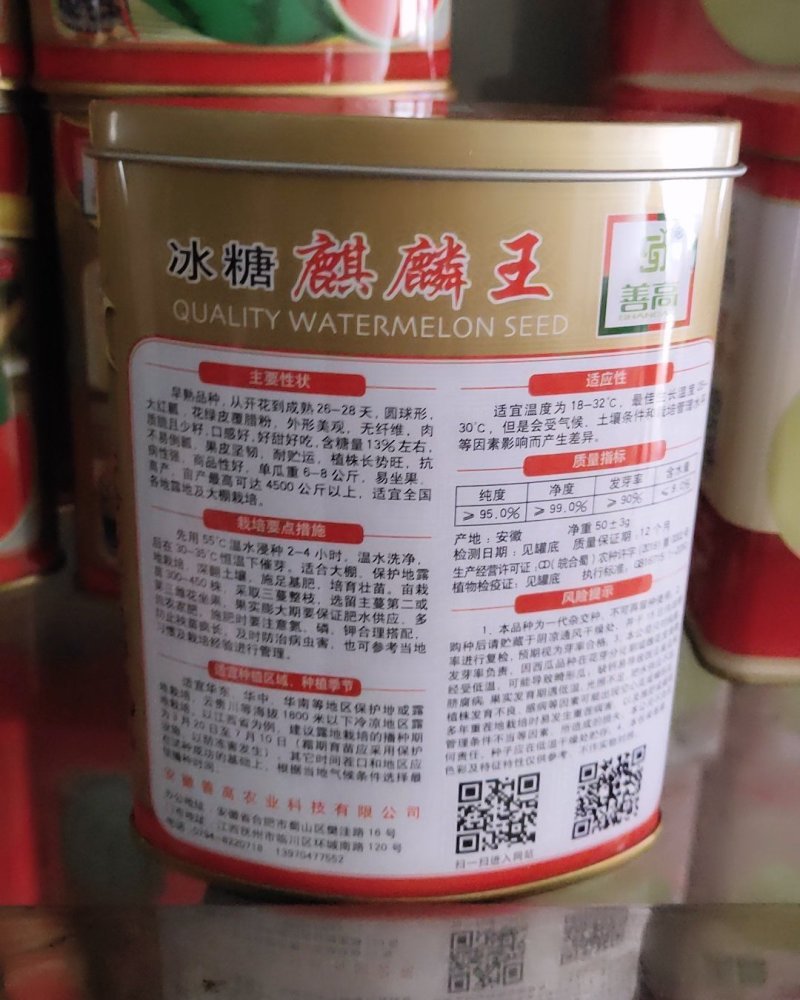 冰糖麒麟西瓜甜度高易坐果