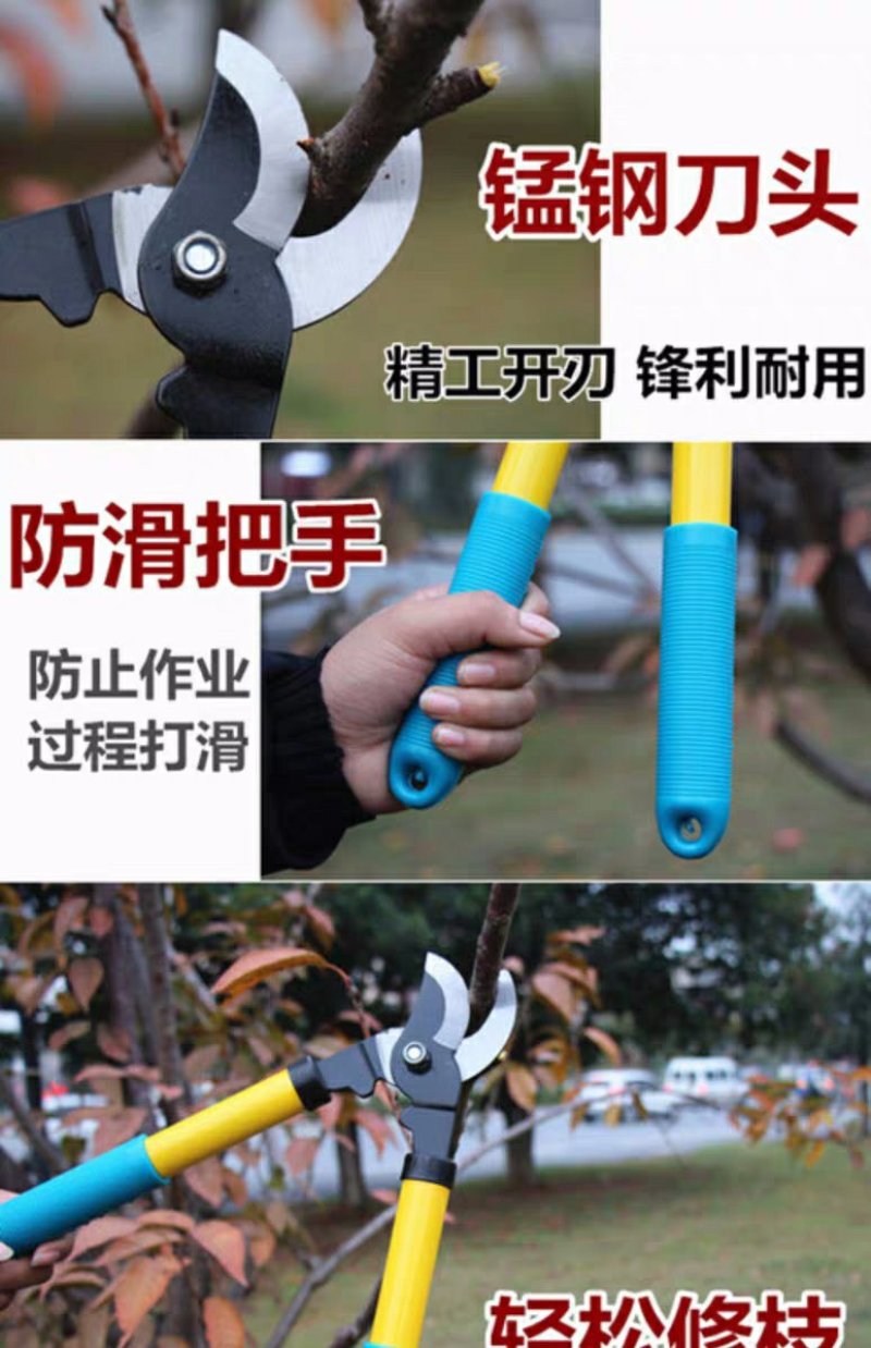 包邮修枝剪园艺剪刀整枝花枝剪树枝粗枝剪园林工具粗枝花