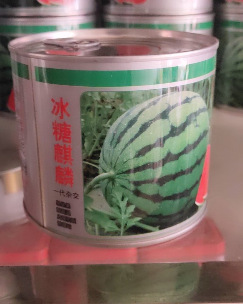 冰麒麟西瓜，果实圆形，早熟一代杂交。