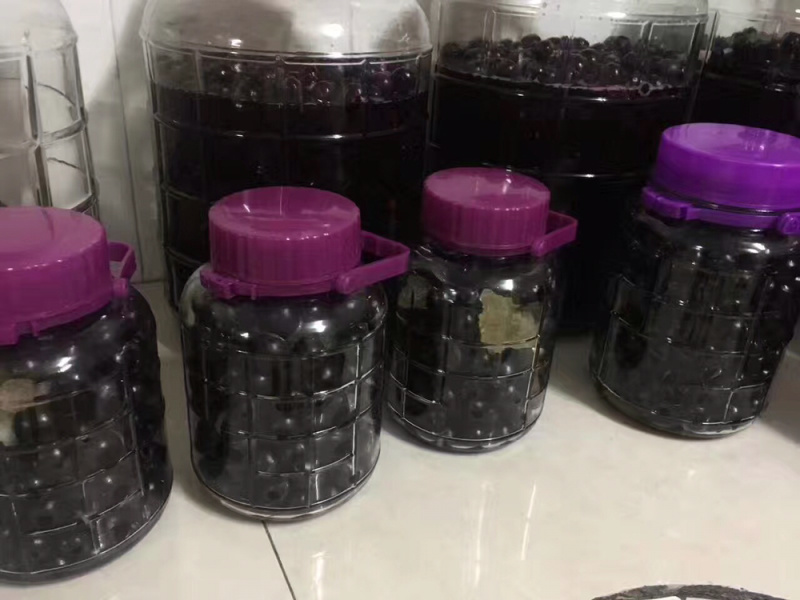 嘉宝果5斤，现摘现发，欲购从速。量大从优，顺丰包邮