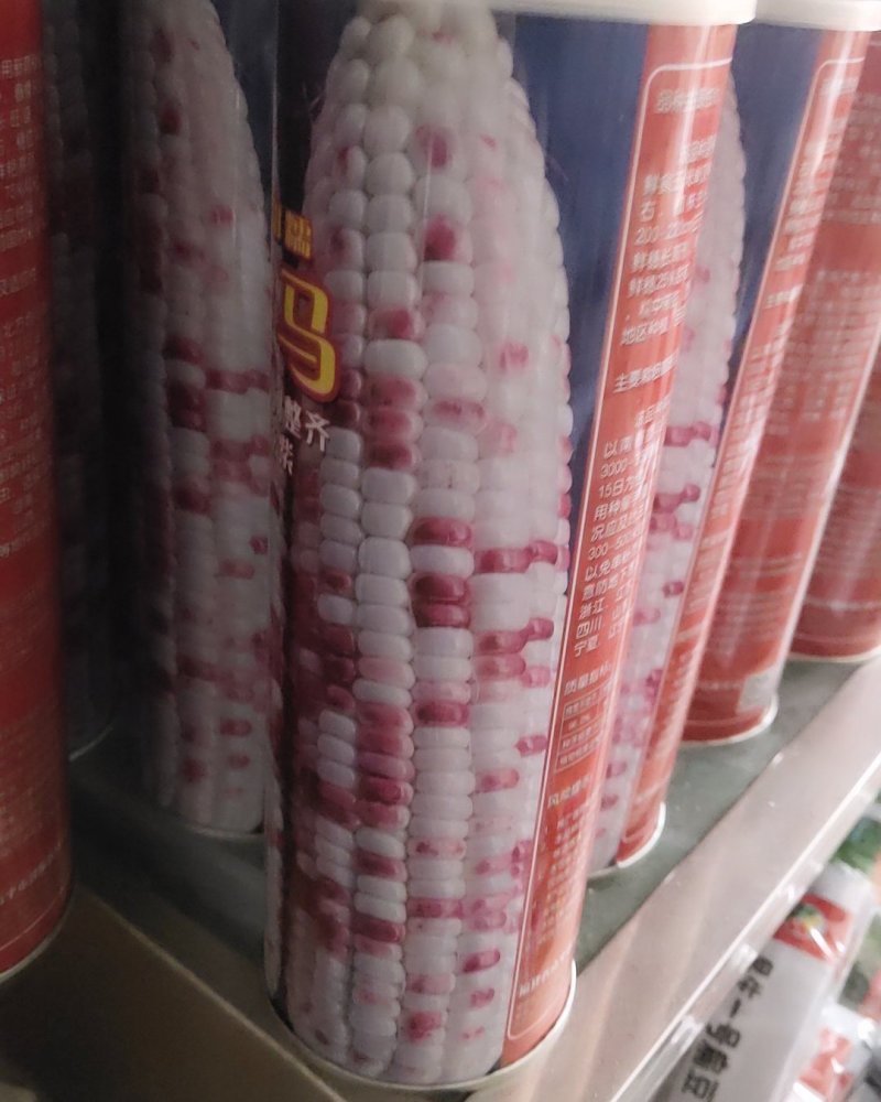 彩色玉米种子，光鲜亮丽，口感很好