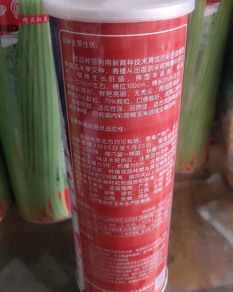 彩色玉米种子，光鲜亮丽，口感很好