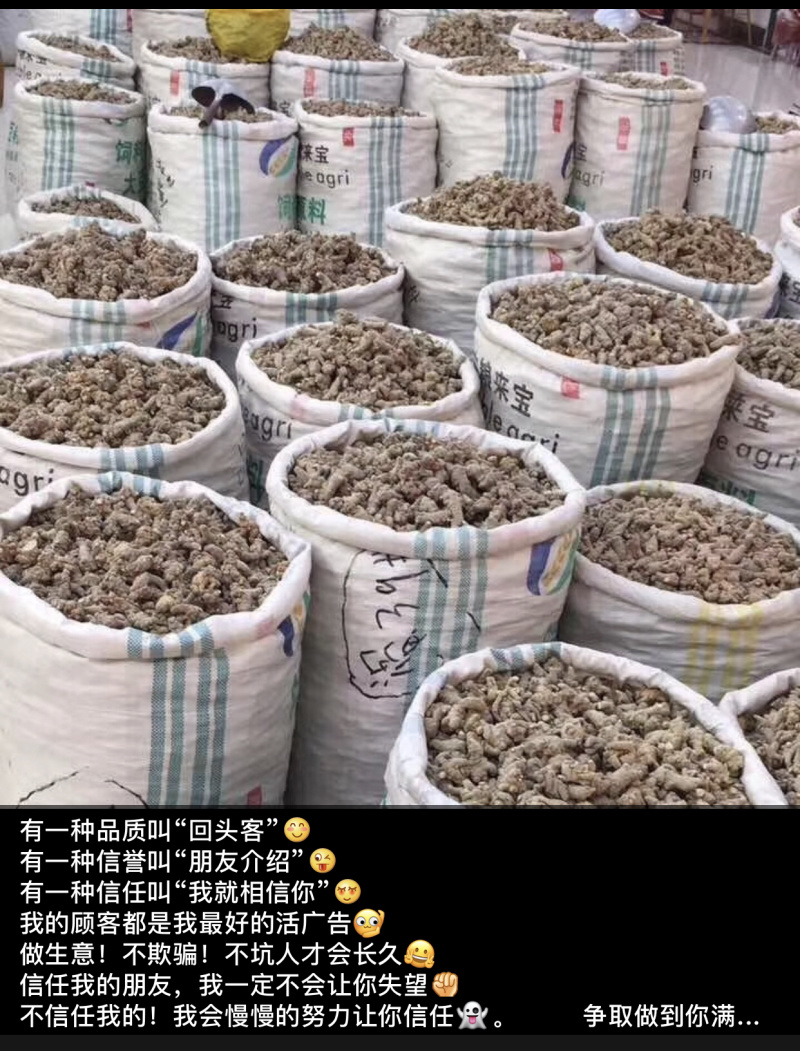 云南文山三七产地大量批发选货
