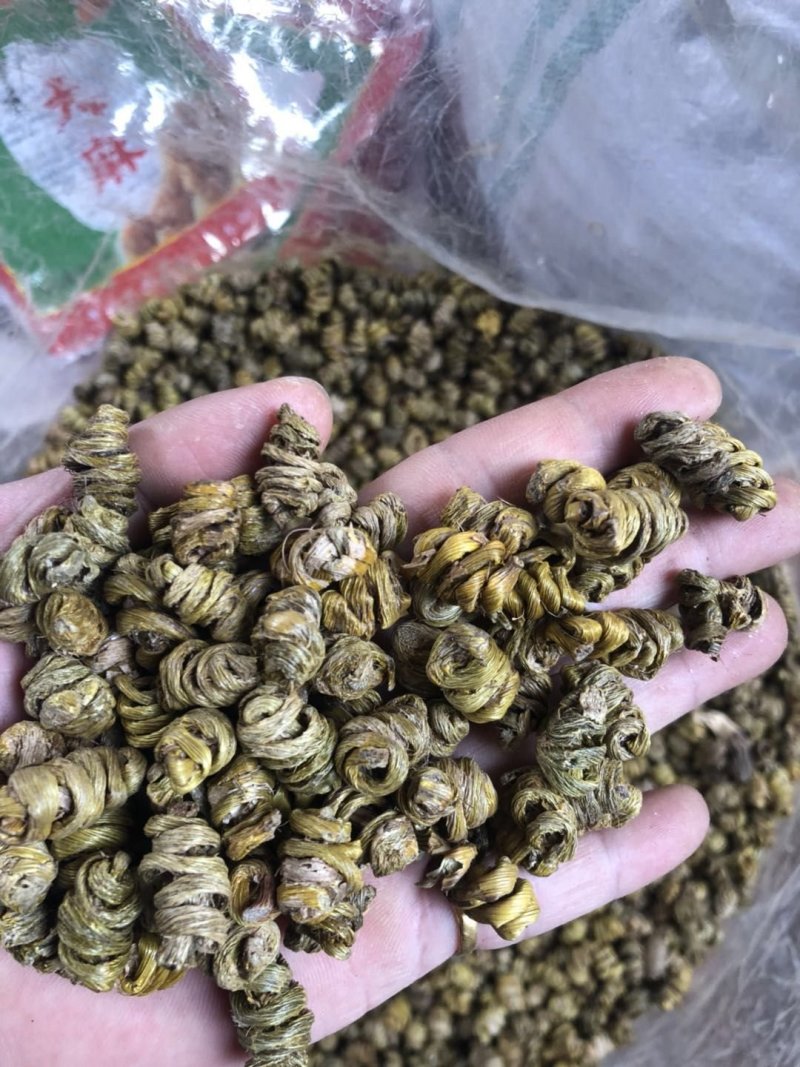 霍山仿野生铁皮石斛枫斗水草