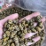 霍山仿野生铁皮石斛枫斗水草