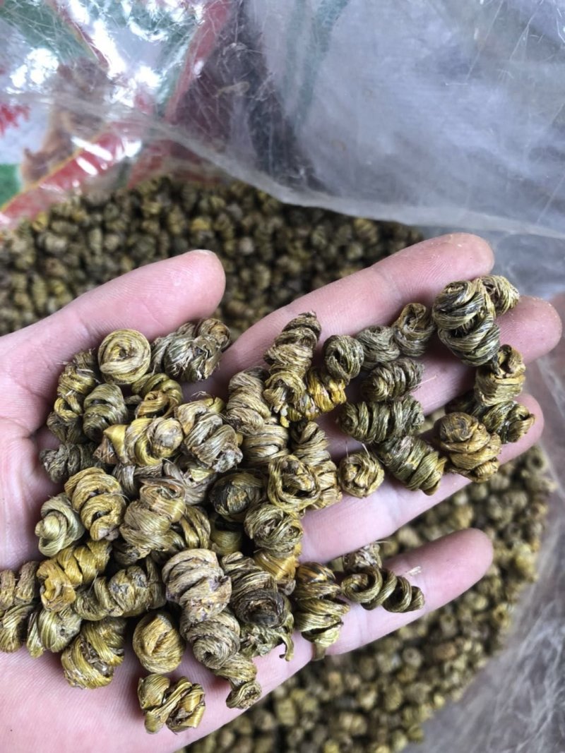 霍山仿野生铁皮石斛枫斗水草