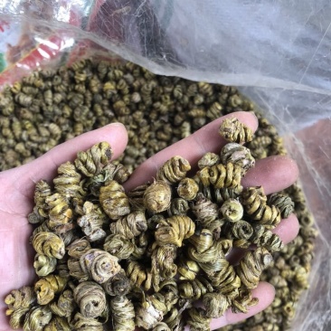 霍山仿野生铁皮石斛枫斗水草