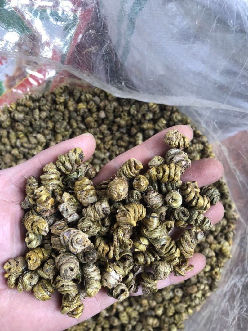 霍山仿野生铁皮石斛枫斗水草
