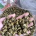 霍山仿野生铁皮石斛枫斗水草