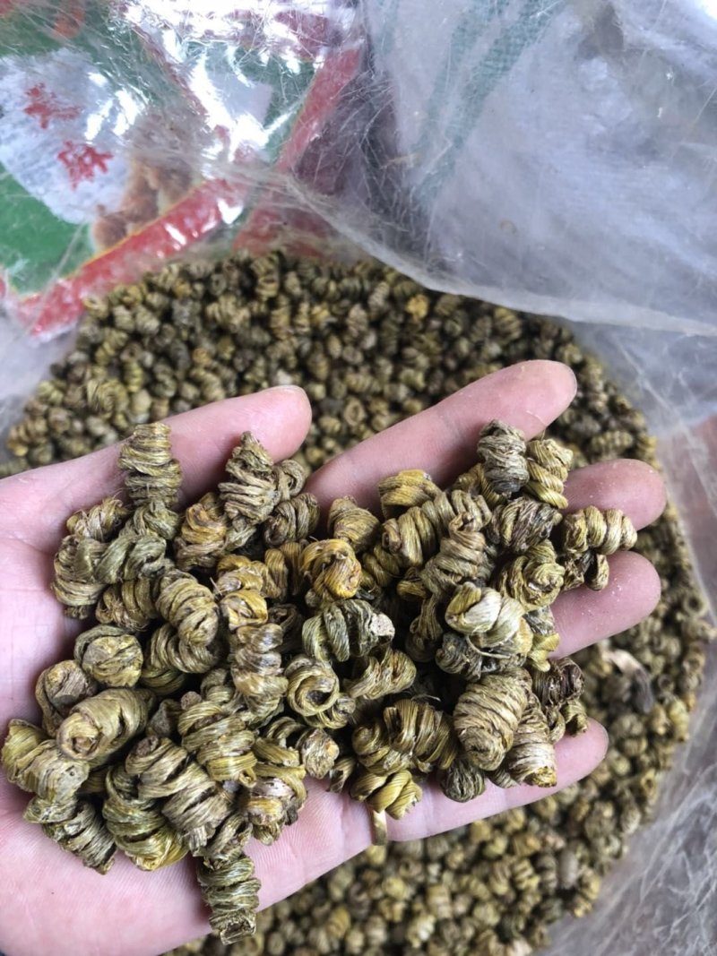 霍山仿野生铁皮石斛枫斗水草