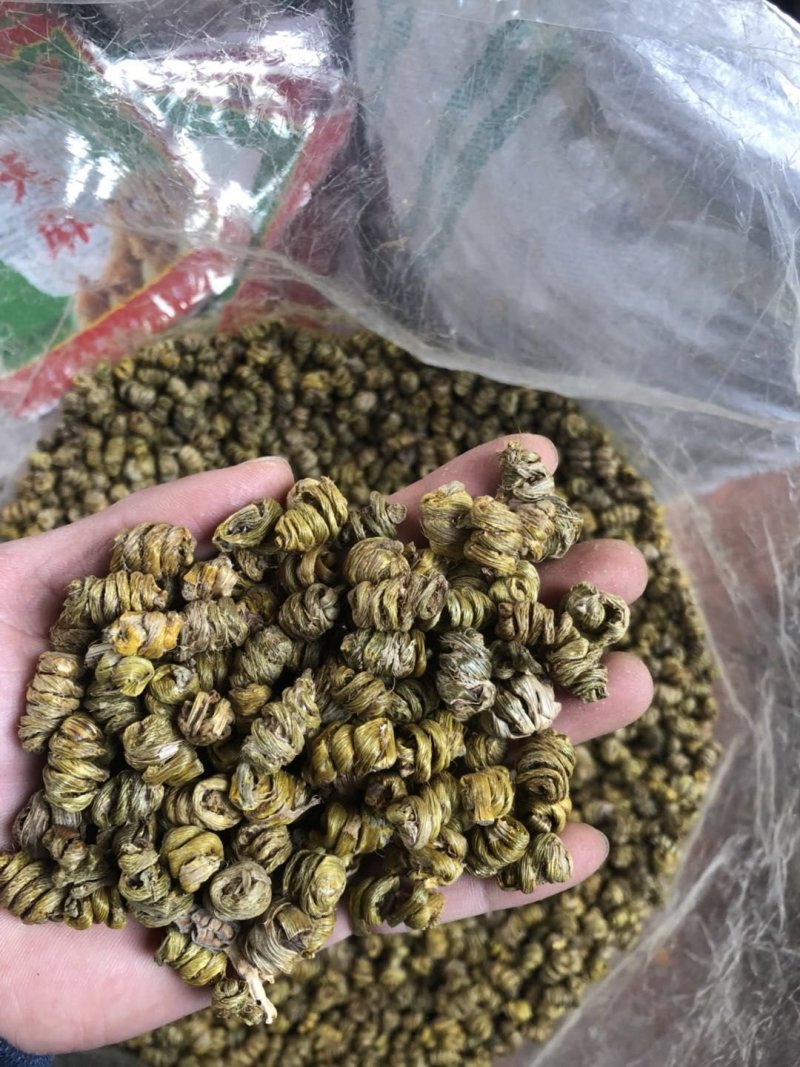 霍山仿野生铁皮石斛枫斗水草