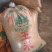 乳鸽鸽厂一手货源常年供应可全国发货品质保证