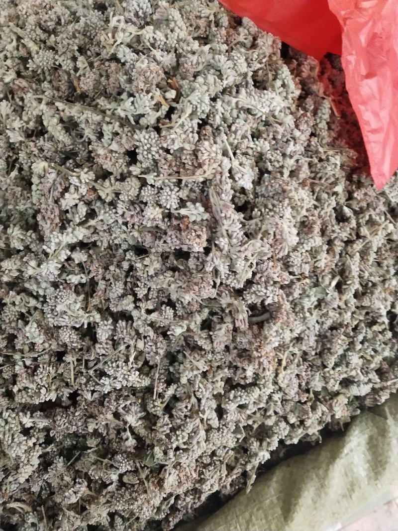 密蒙花，中药材密蒙花，批发零售，价格实惠，量大价优