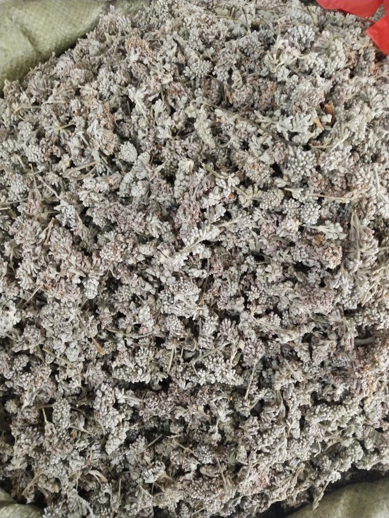 密蒙花，中药材密蒙花，批发零售，价格实惠，量大价优
