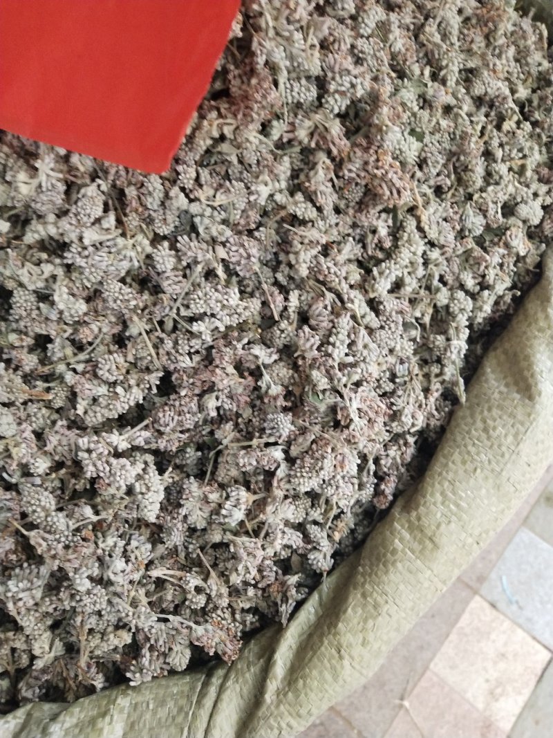 密蒙花，中药材密蒙花，批发零售，价格实惠，量大价优