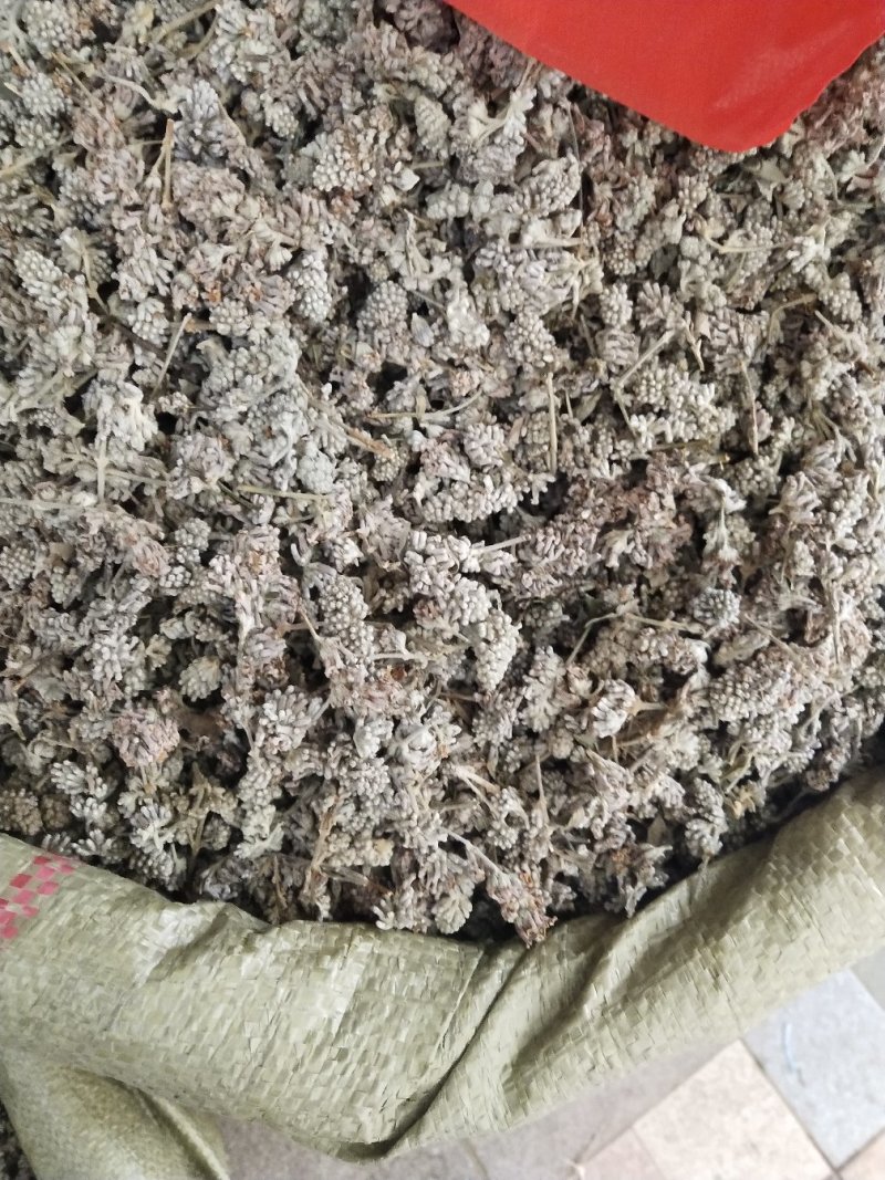 密蒙花，中药材密蒙花，批发零售，价格实惠，量大价优