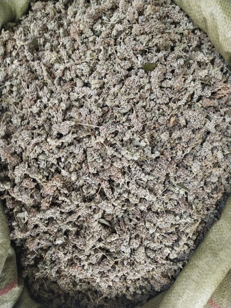 密蒙花，中药材密蒙花，批发零售，价格实惠，量大价优
