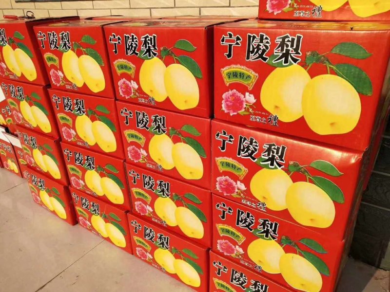 梨子酥脆皮薄，水份足