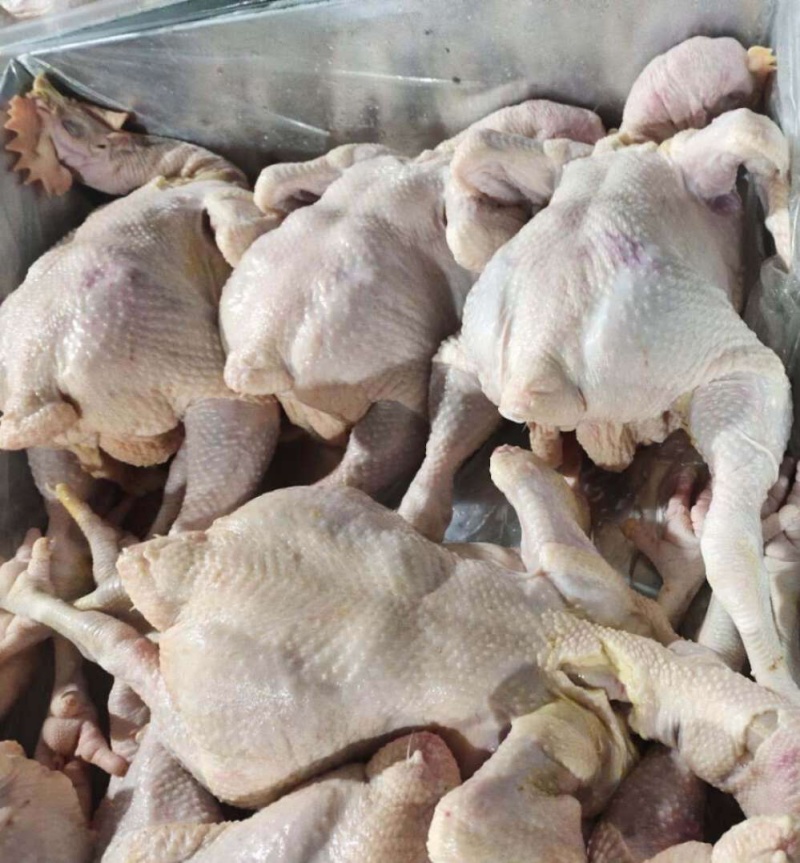肉食白条鸡，量大可议价，一级货，全净膛，干货，(国产)