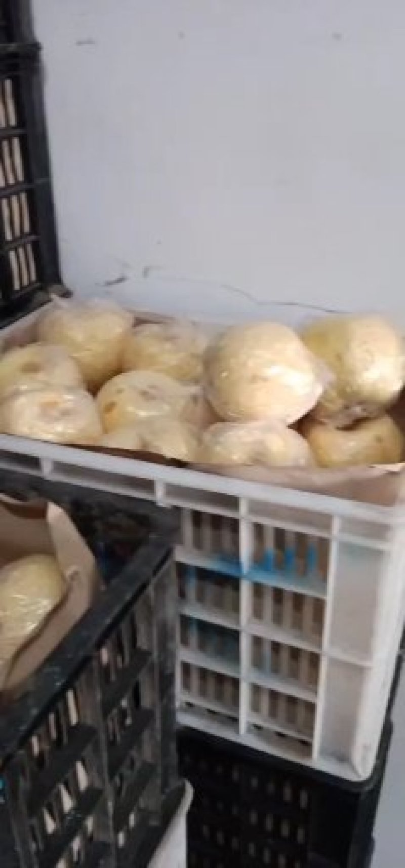 砀山梨，果面干净，口感脆甜，水分充足。