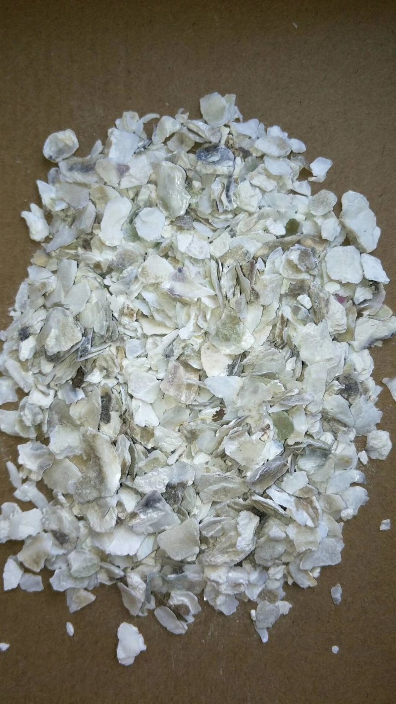 药用牡蛎水洗牡蛎壳颗粒