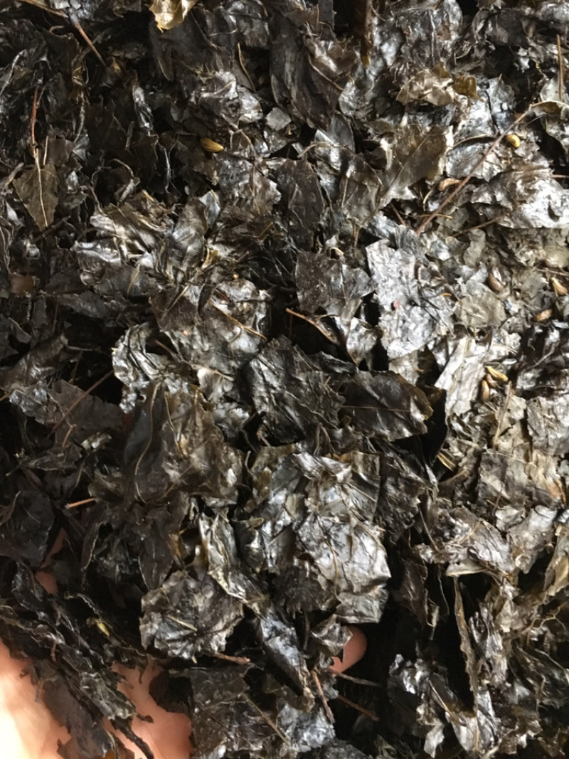 苦丁茶苦丁茶中药材批发量大包苦丁茶包邮量大邮