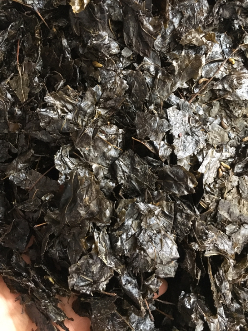 苦丁茶苦丁茶中药材批发量大包苦丁茶包邮量大邮