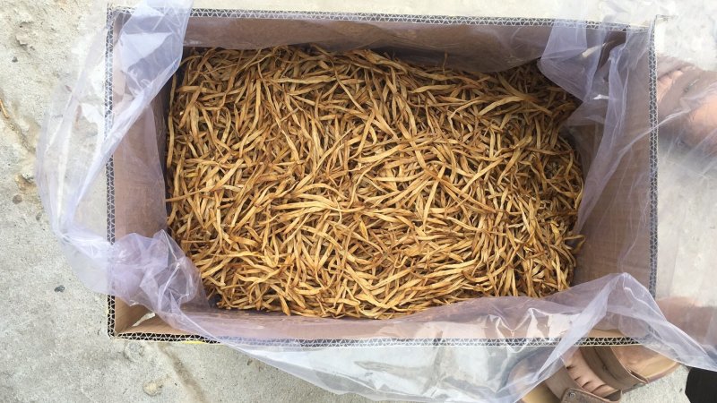 黄花菜特级无硫，产地直销量大从优