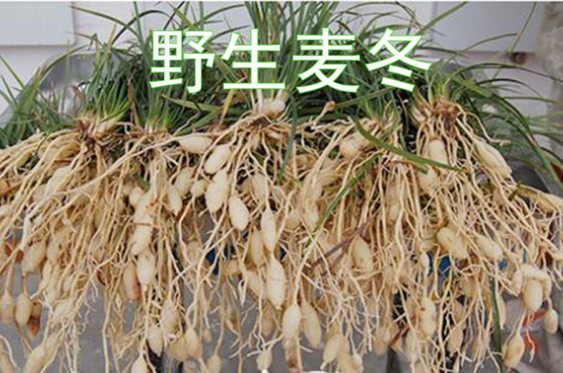 麦冬川麦冬连心麦冬农家初选农副土特产品111